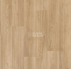 Линолеум Forbo Modul'up Compact Wood 8513UP43C blond chill oak фото 1 | FLOORDEALER